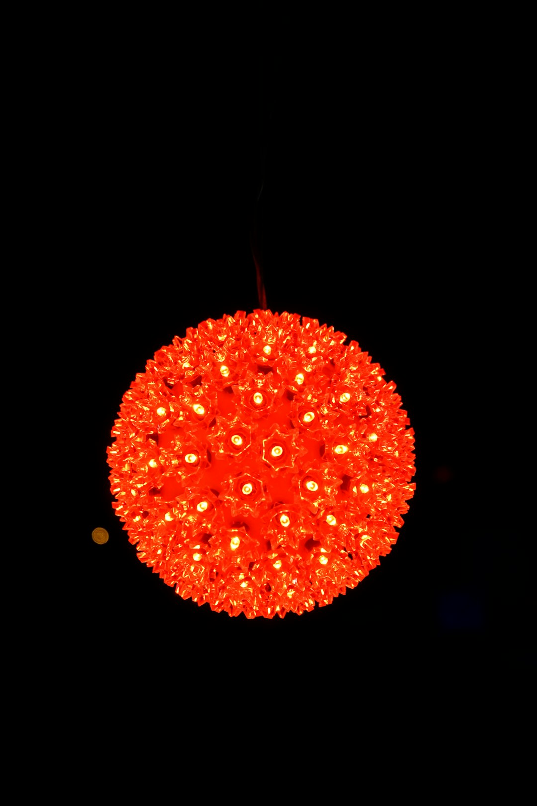 red round fruit with black background