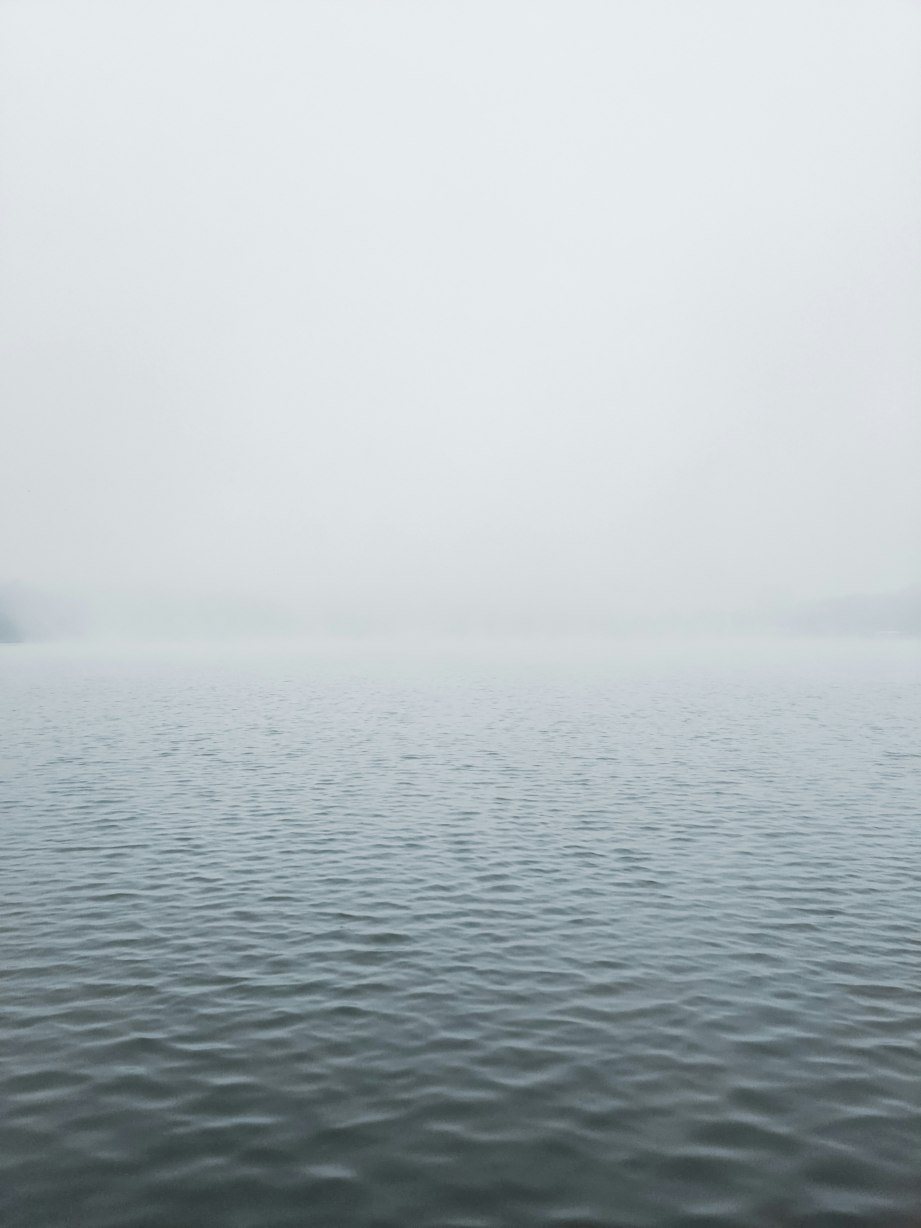 Photo by thecyclichedgehog