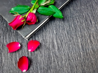 A single red rose with green leaves lies atop a closed black book. Three rose petals are scattered below on a textured dark surface.