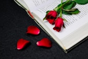 An open book with text in a foreign script lies on a dark textured surface. Resting atop the pages are two red roses with stems and leaves. Nearby, three red rose petals are scattered on the surface.