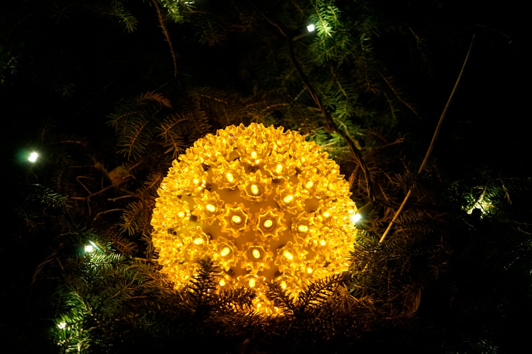 yellow round flower in close up photography