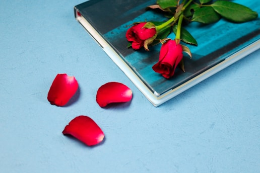A book with a blue cover is placed on a blue surface, accompanied by a small bouquet of red roses on top of it. Nearby, a few rose petals are scattered.