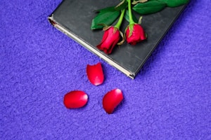 Crónicas del Cardenal