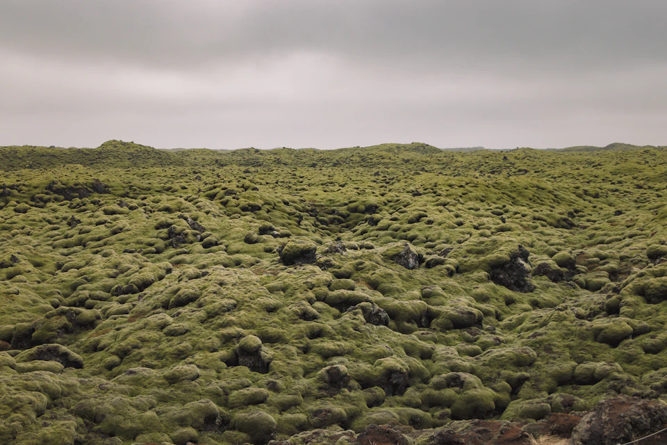 The image depicts a vast, open field covered in vibrant green moss and rocks. The moss-covered rocks are scattered throughout the field, creating a sense of depth and texture. The sky above is overcast with clouds, casting a soft light on the scene below. The perspective of the photo is from a high angle, providing an expansive view of the field that stretches out into the distance.

The predominant colors in the image are green, gray, and brown, reflecting the mossy rocks, the cloudy sky, and the earthy tones of the field.