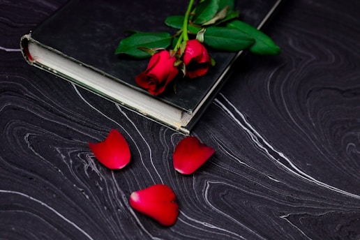 A closed book with a black cover lies on a dark, swirling-patterned surface. Three red roses with lush green leaves rest on top of the book, and several rose petals are scattered around.