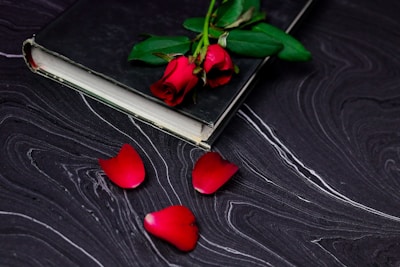 Close-up of a black cherry and rose gold book cover featuring entwined initials MMT wrapped in a red rose.