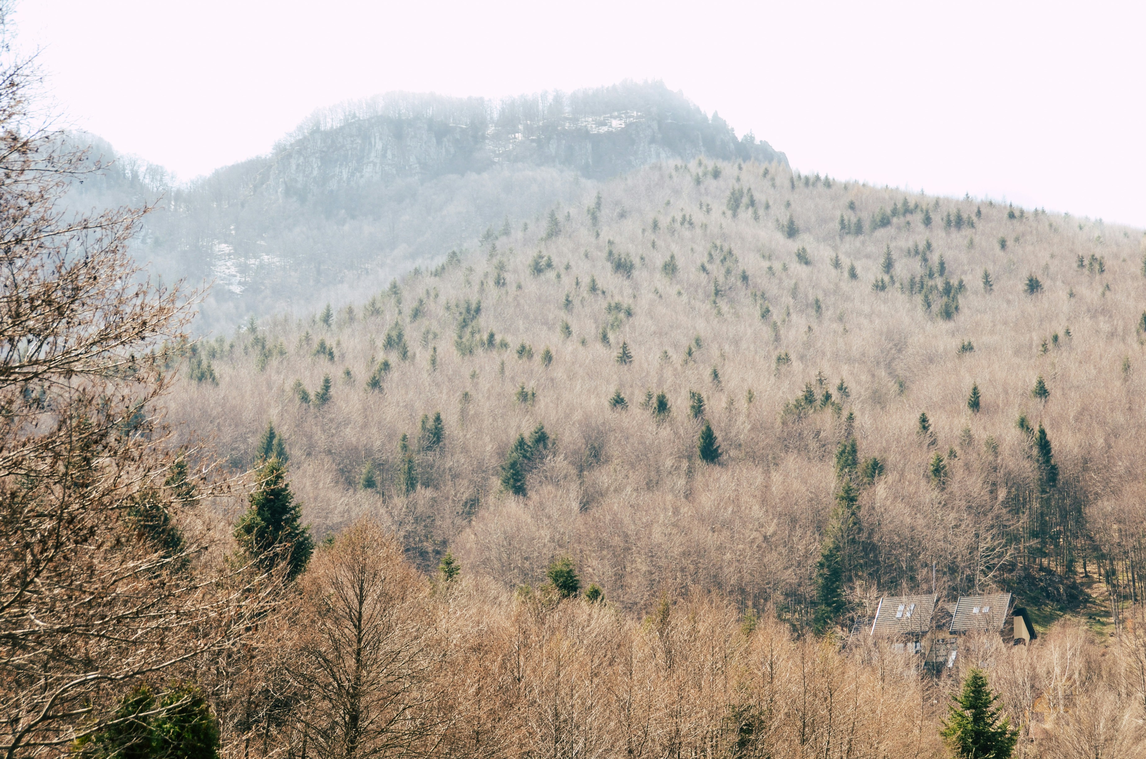 Photo by davidbarbulescu