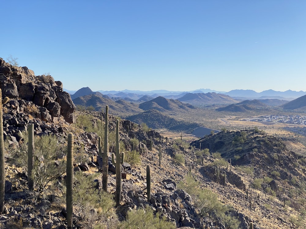 green and brown mountains under blue sky during daytime