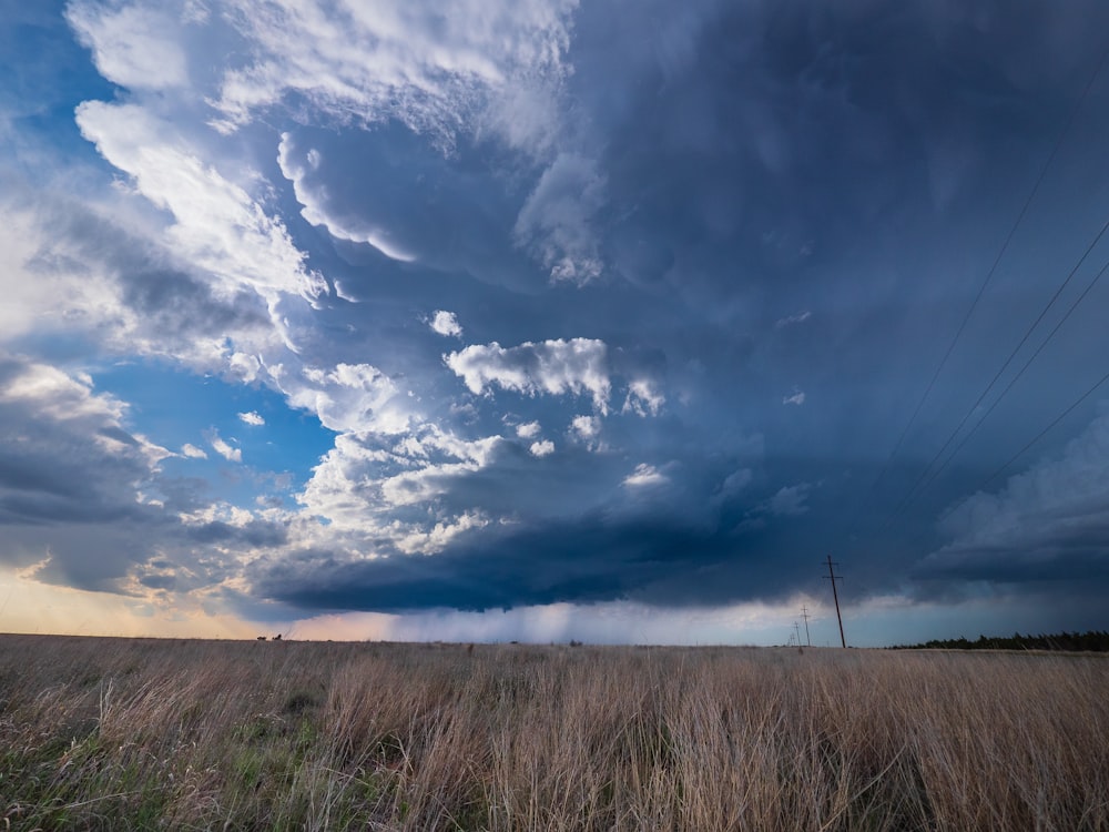 brown grass field under blue sky and white clouds during daytime