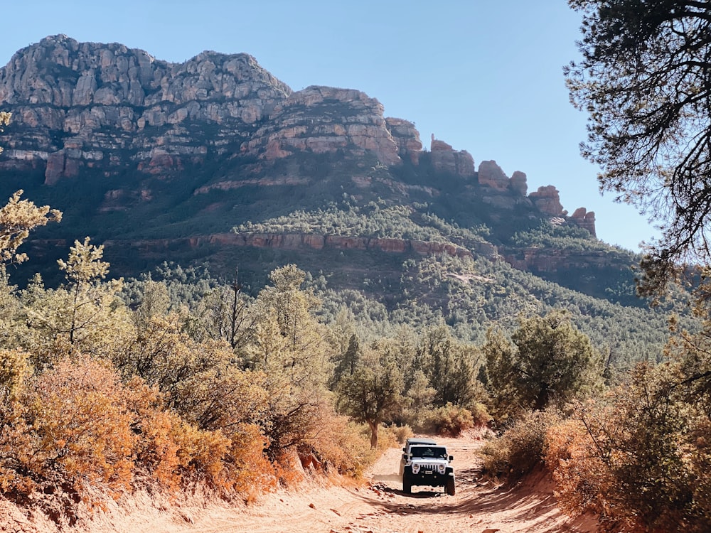 black suv on dirt road near brown and green trees during daytime