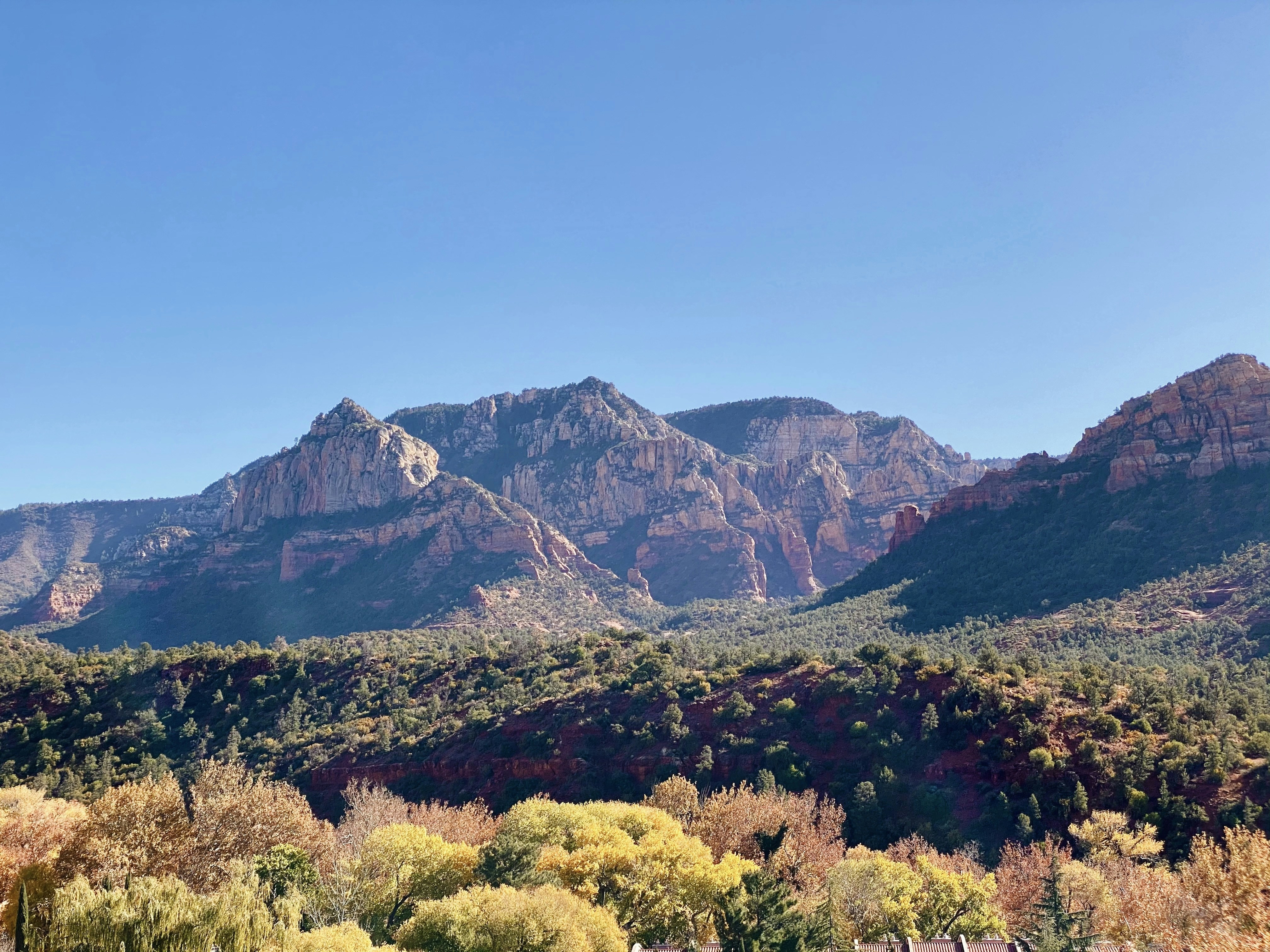 Photo by nloffredo17