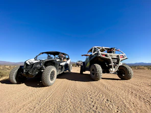 black and white RZR on brown sand during daytime