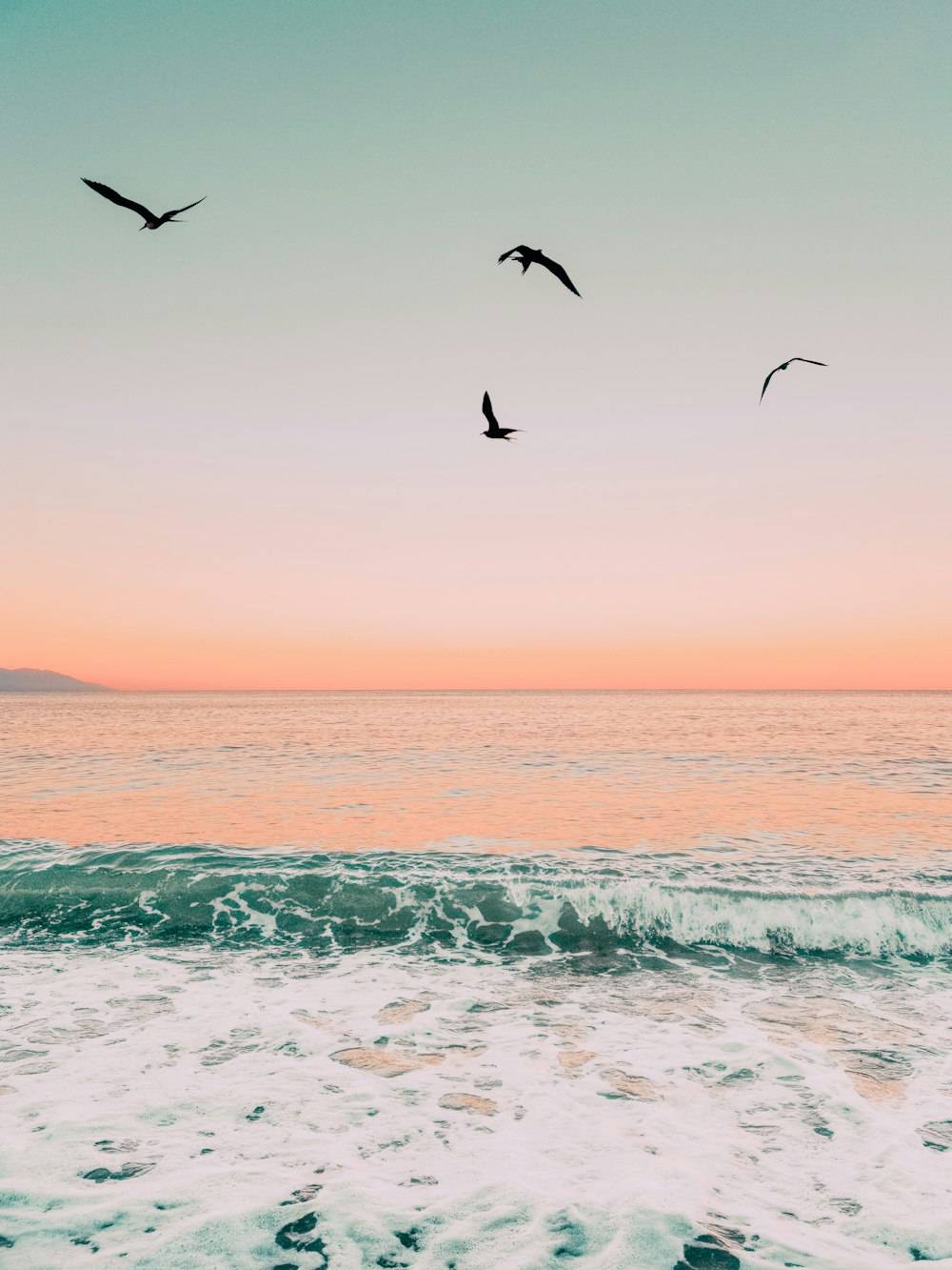 birds flying over the sea during sunset