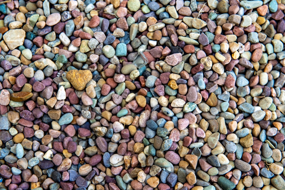 brown and gray pebbles on ground