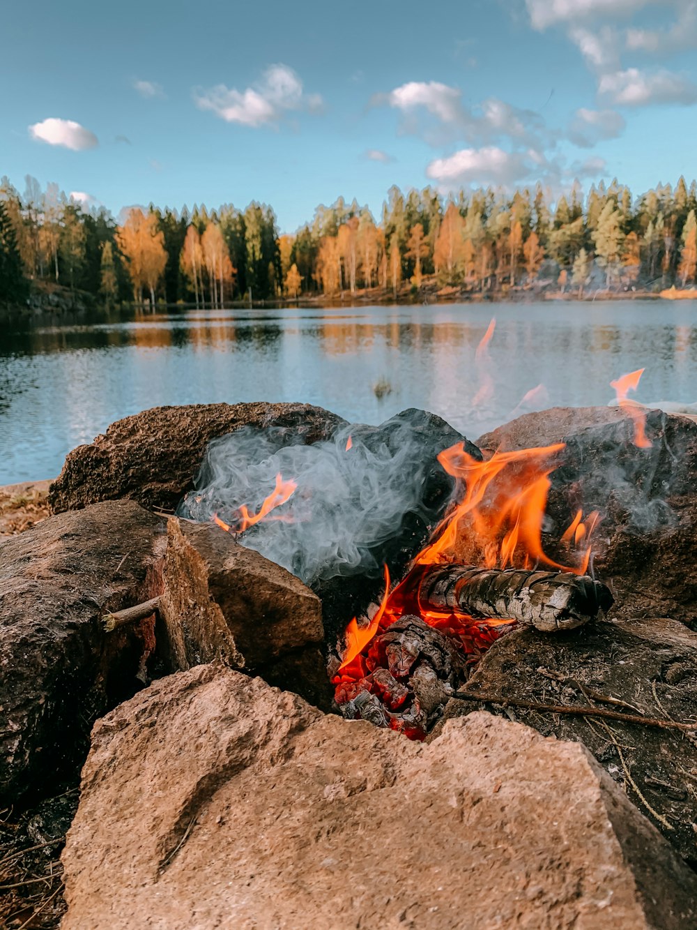 burning wood near body of water during daytime