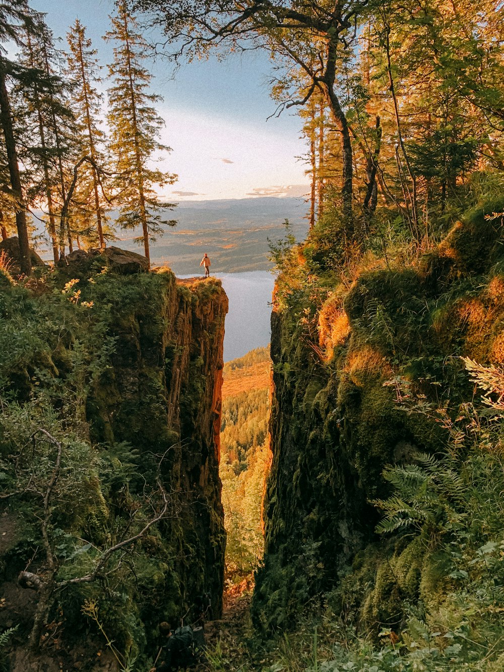 person standing on brown rock near green trees during daytime