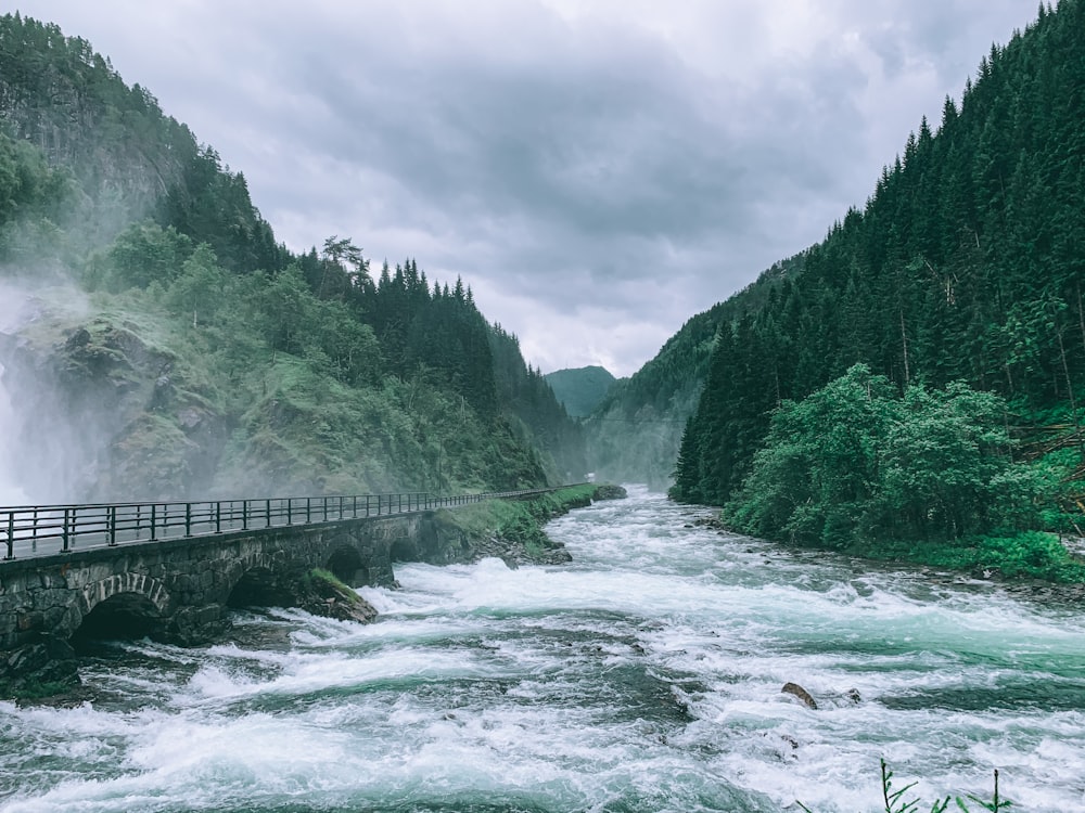 green trees near river under cloudy sky during daytime