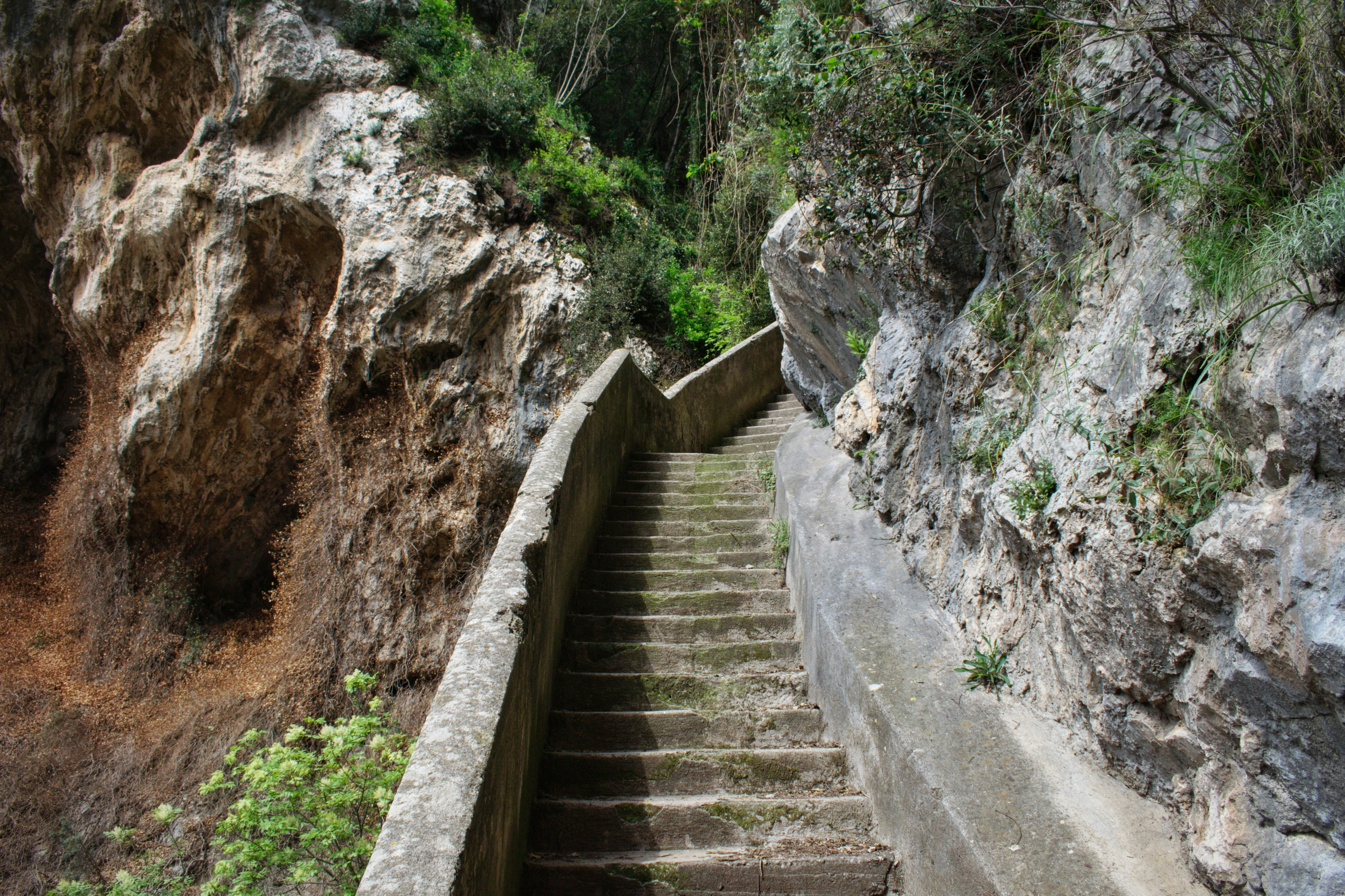 gray concrete stairs between green grass during daytime
