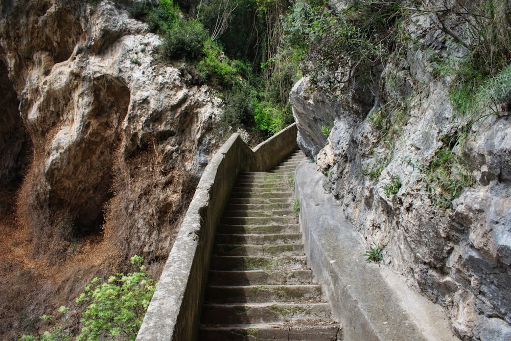 gray concrete stairs between green grass during daytime