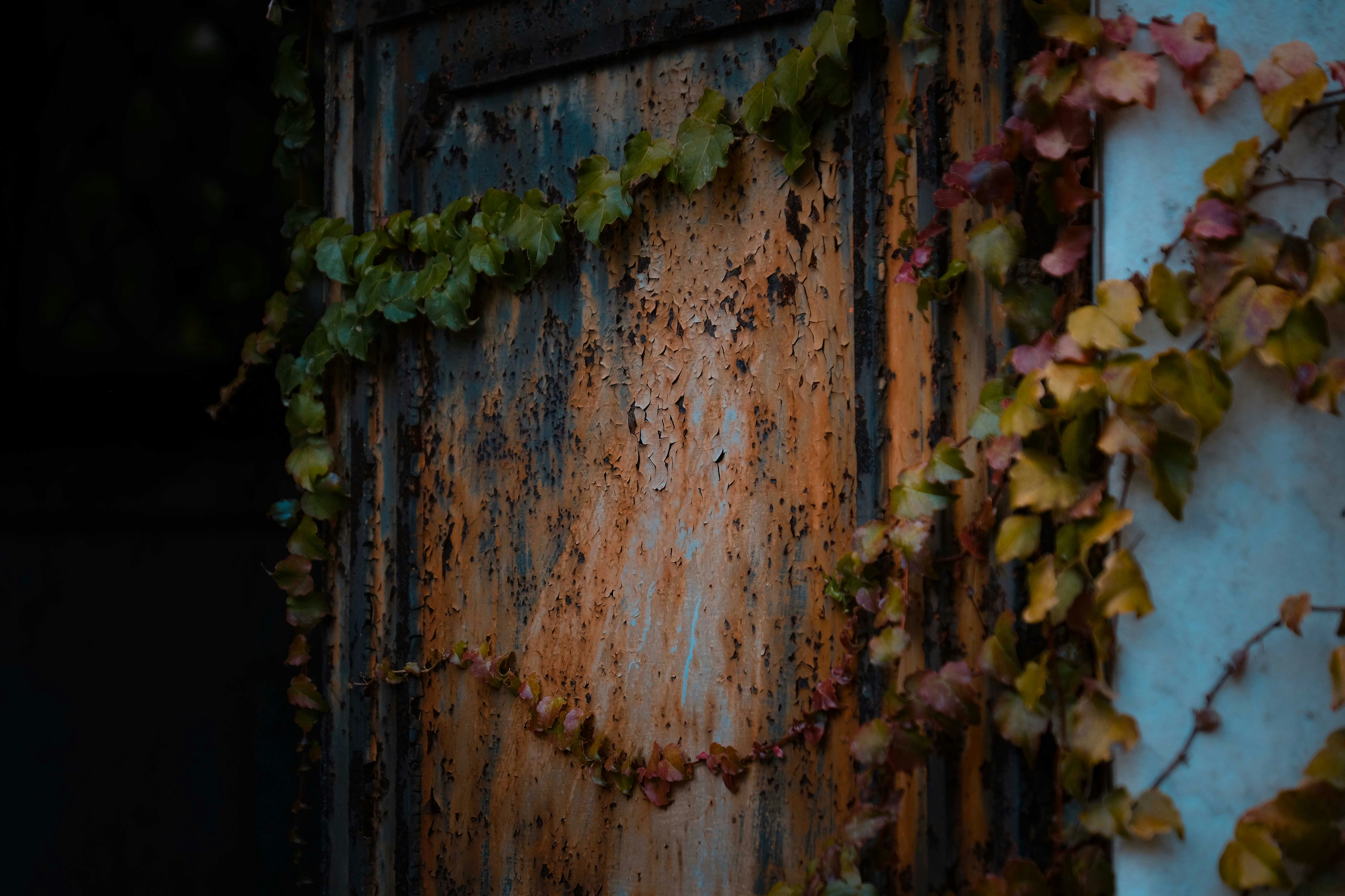 Photo by francesco_ungaro