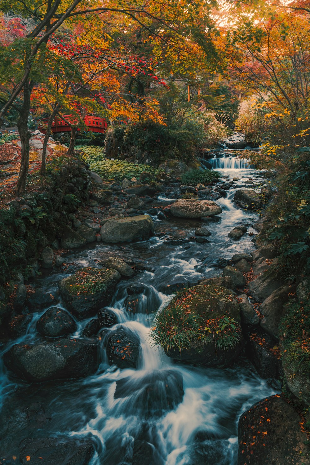 water falls in the forest