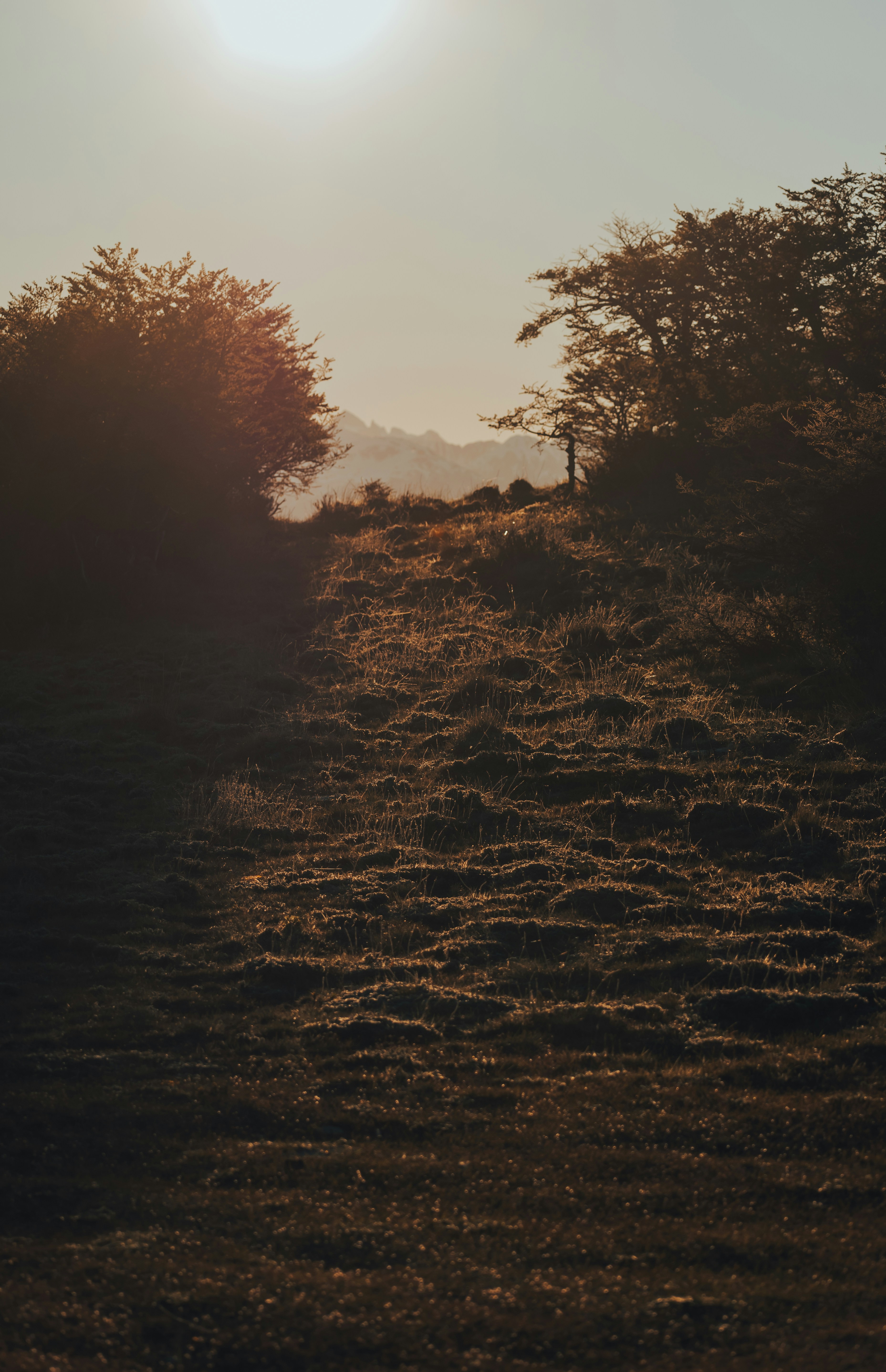 Photo by gasparzaldo