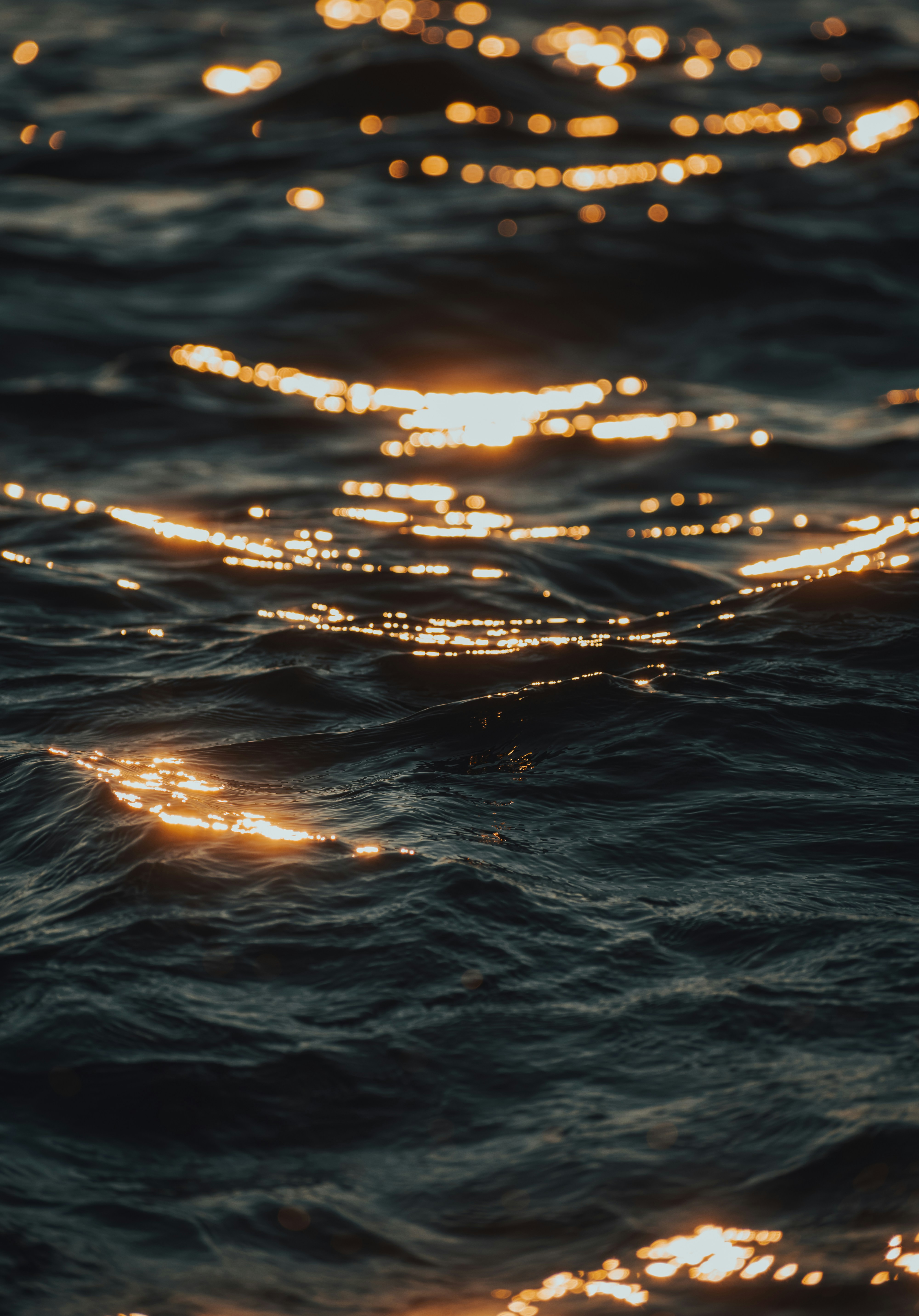 Photo by gasparzaldo