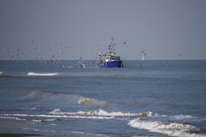 Exploring the Thrills of UK Sea Fishing