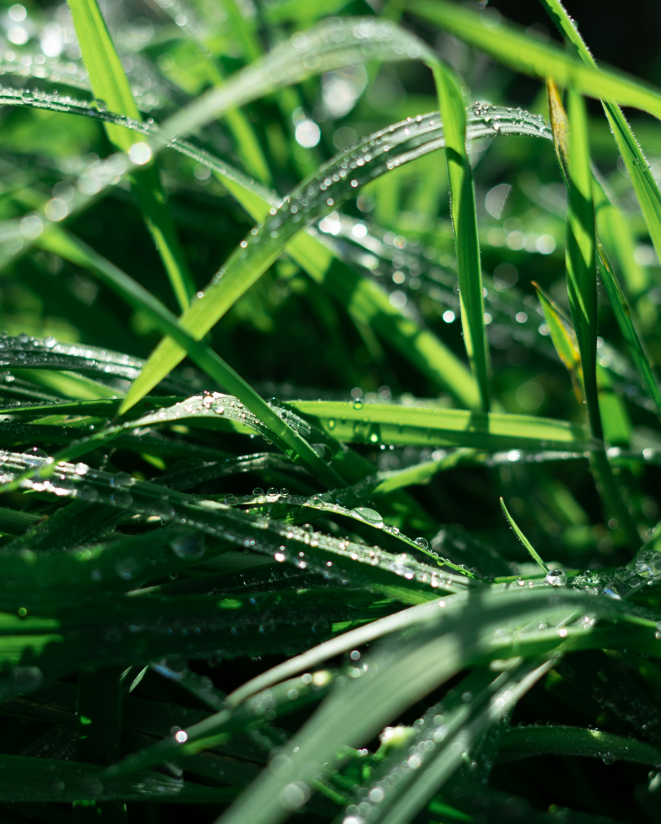 Photo by willwright99