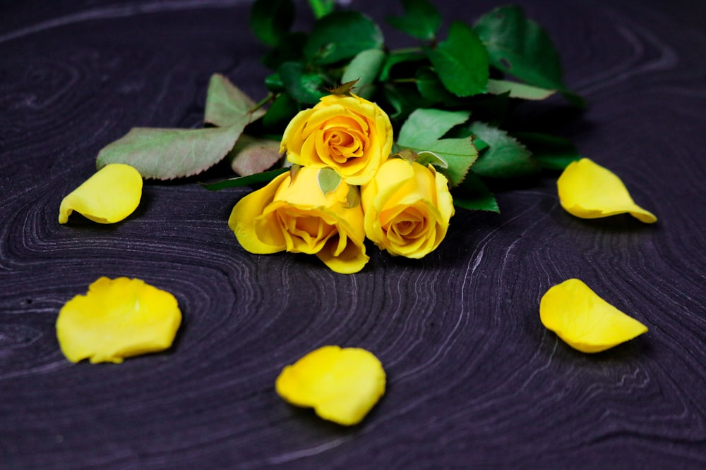 yellow roses on black surface