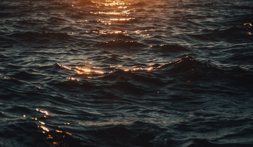 body of water during daytime