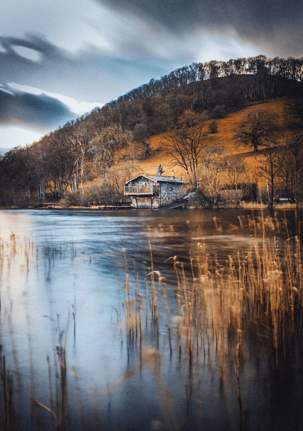 호수와 나무 근처의 흰색과 갈색 집