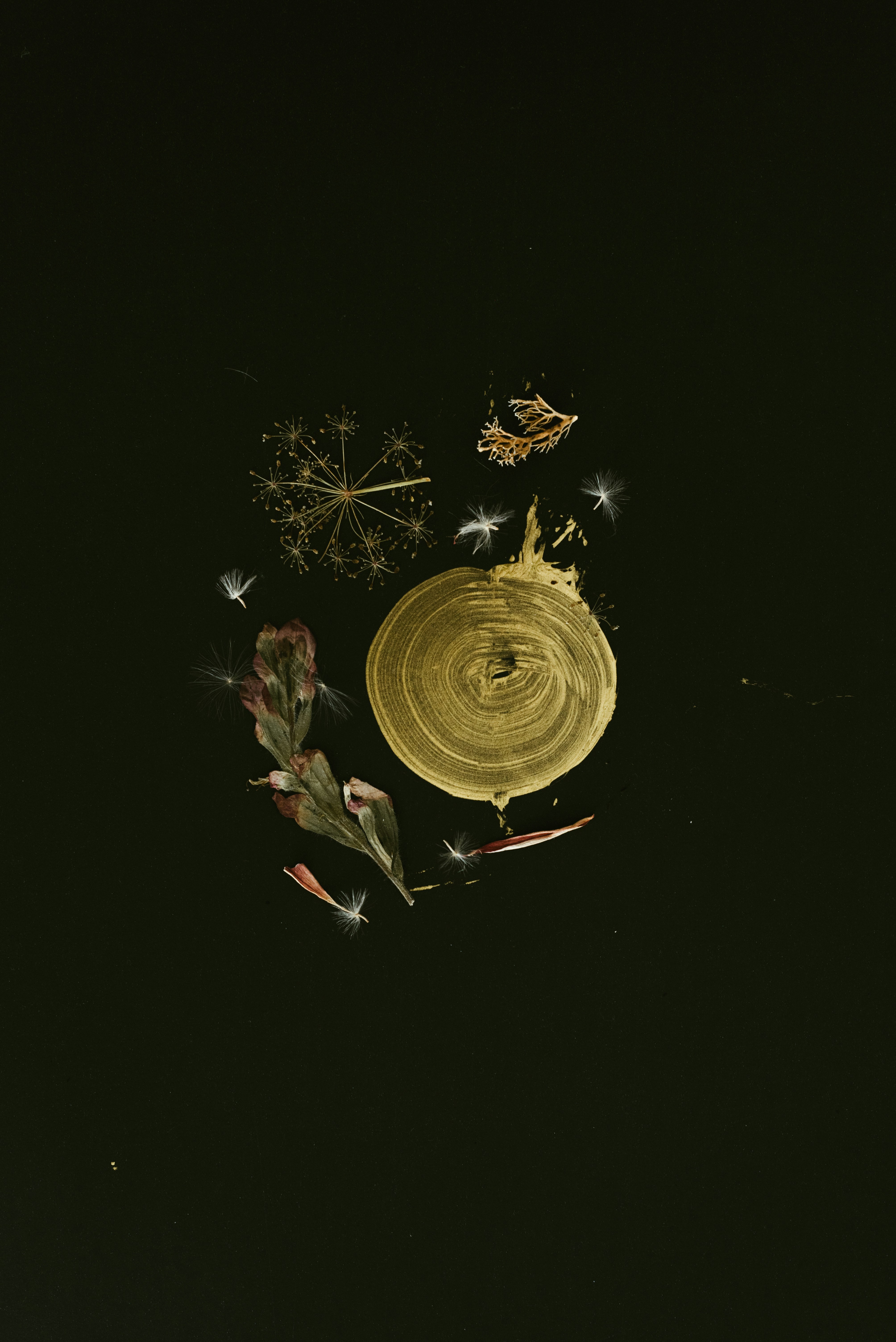 yellow and black round decor