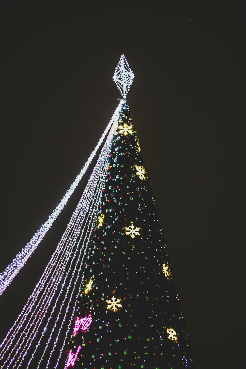 christmas tree with string lights