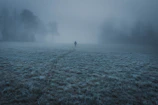 Early morning mist hovering over Stare Wierchy with a silhouette of a walker.