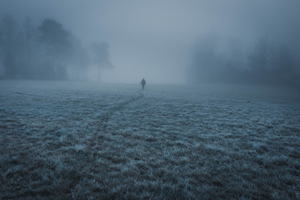 person in white shirt sitting on green grass field during foggy weather