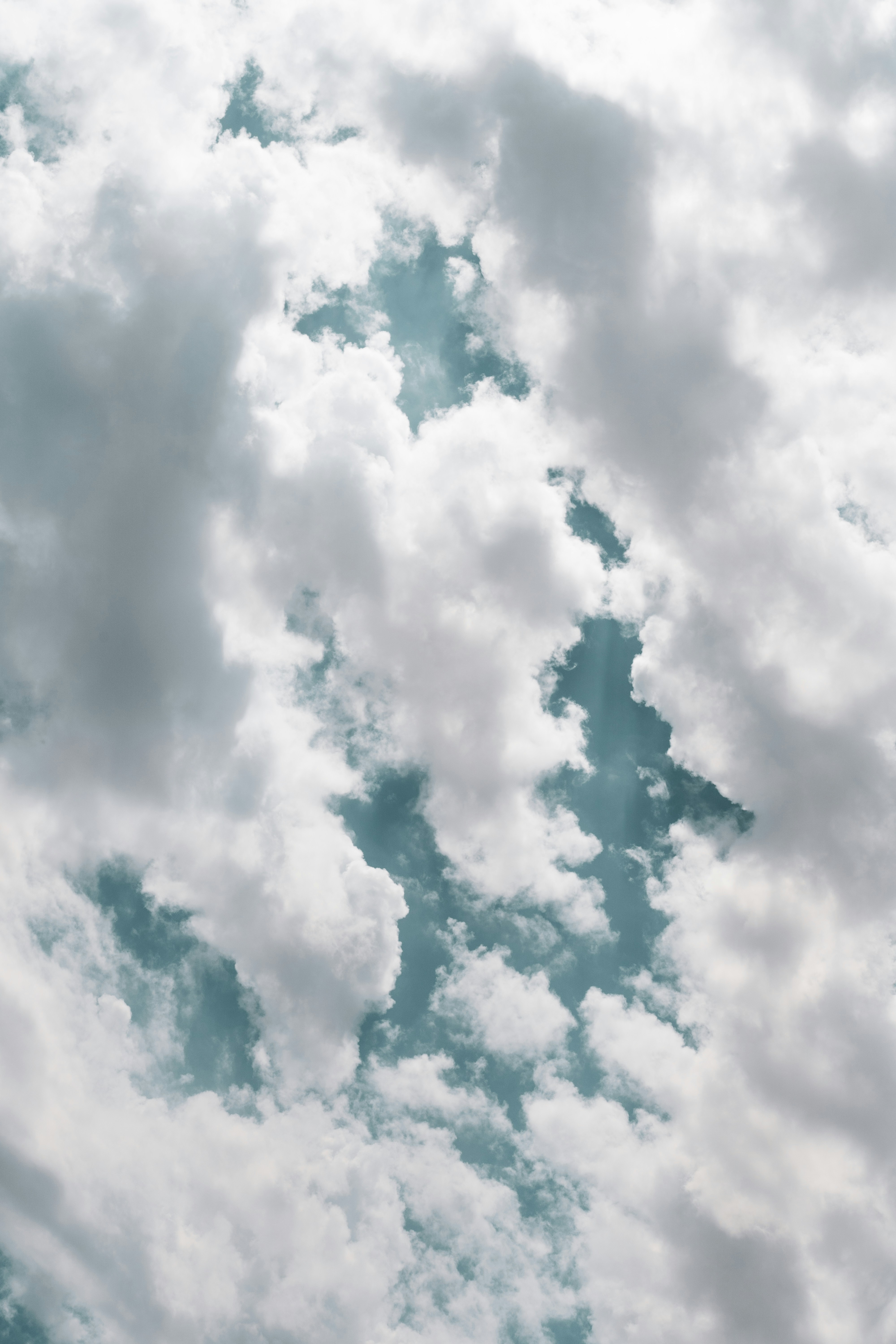 Photo by mayertawfik