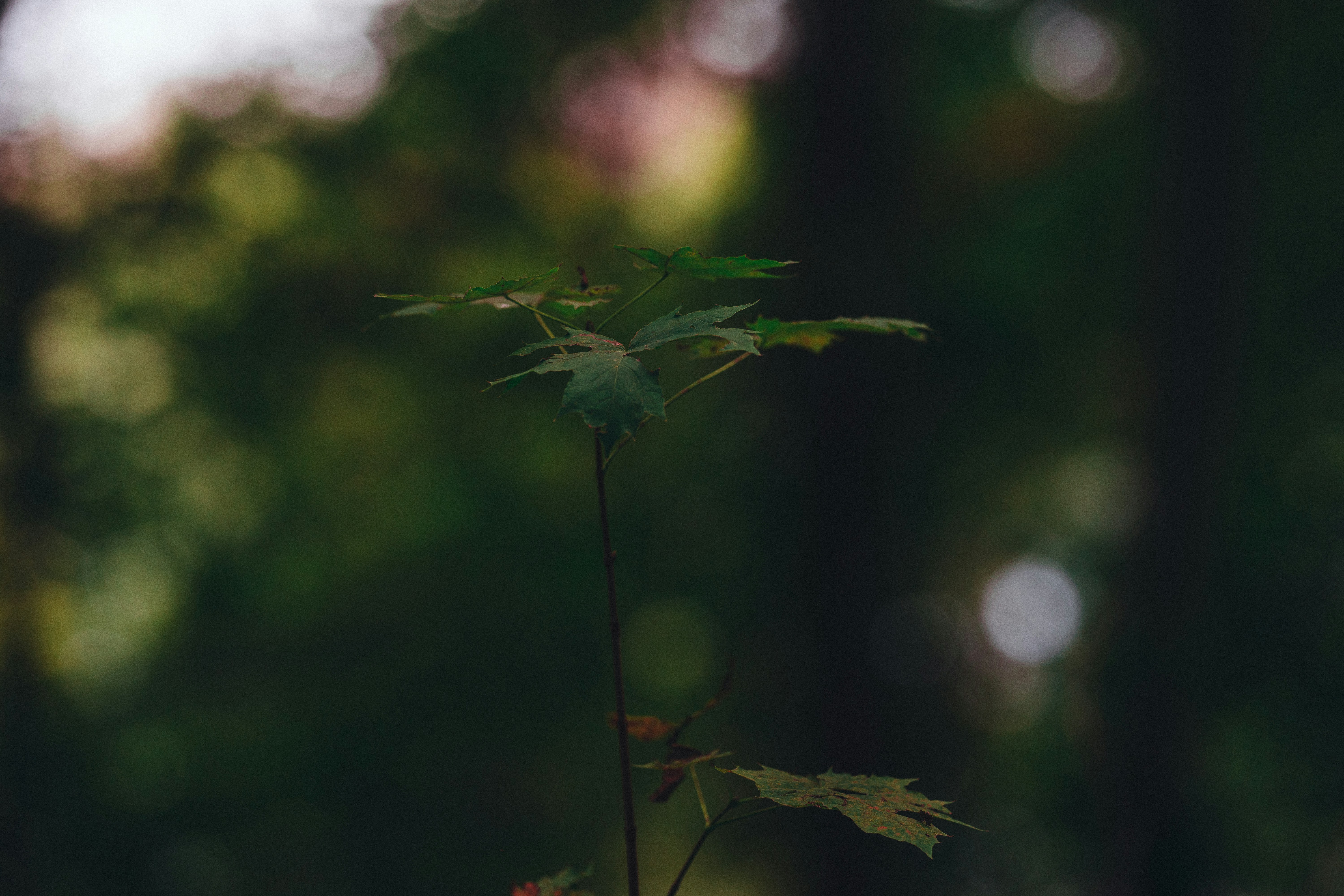 Photo by omarvellous14