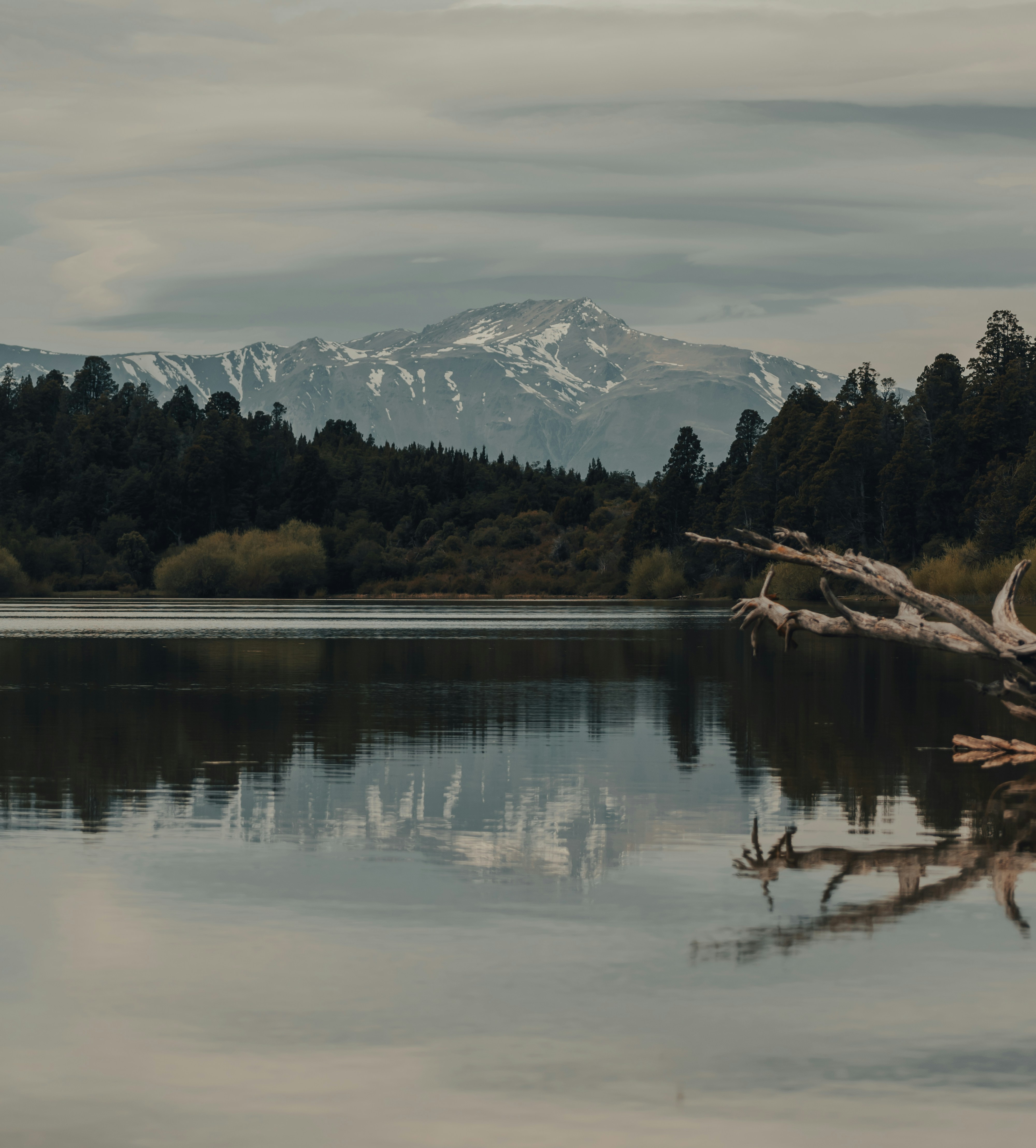 Photo by gasparzaldo