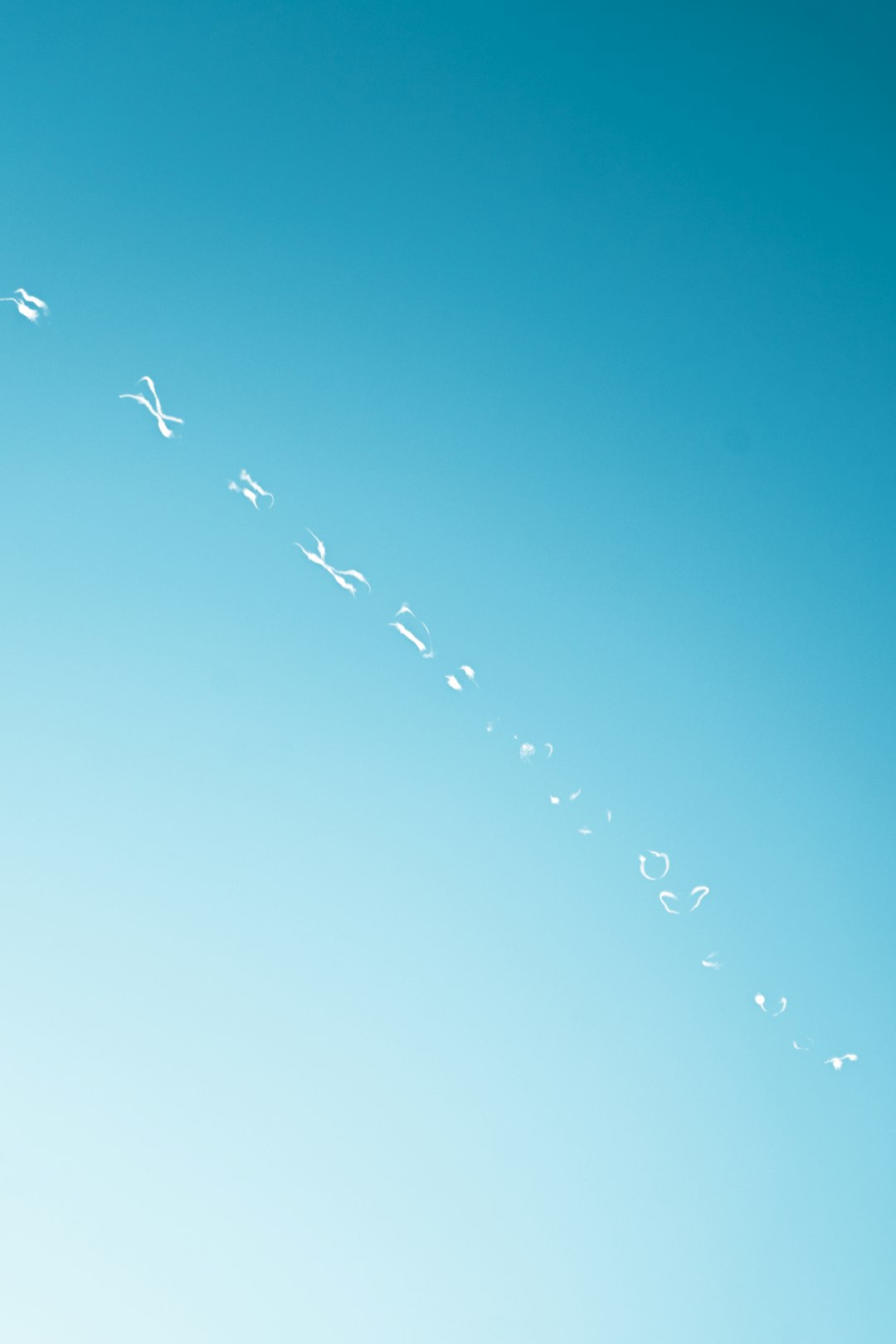 flock of birds flying under blue sky during daytime