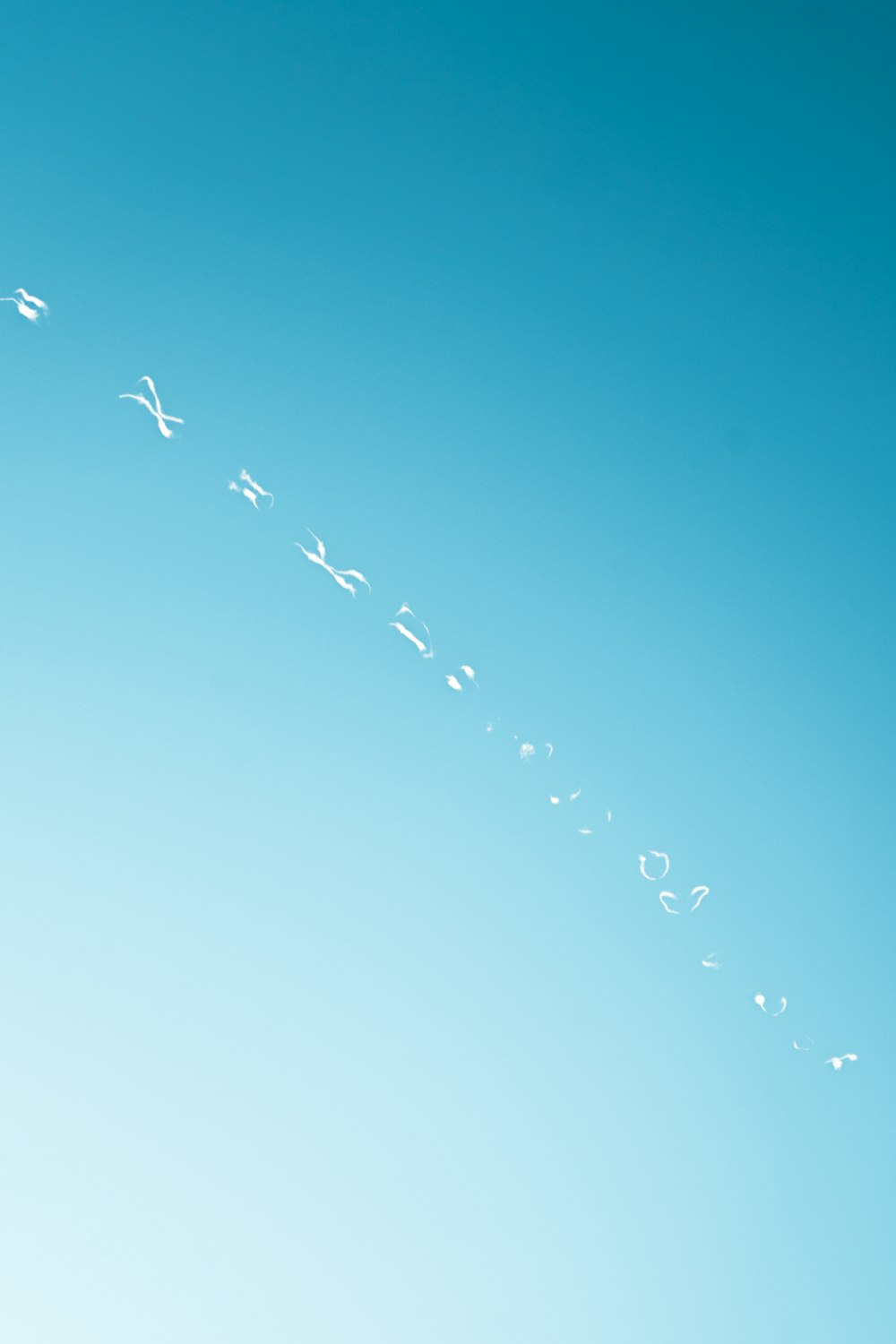 flock of birds flying under blue sky during daytime