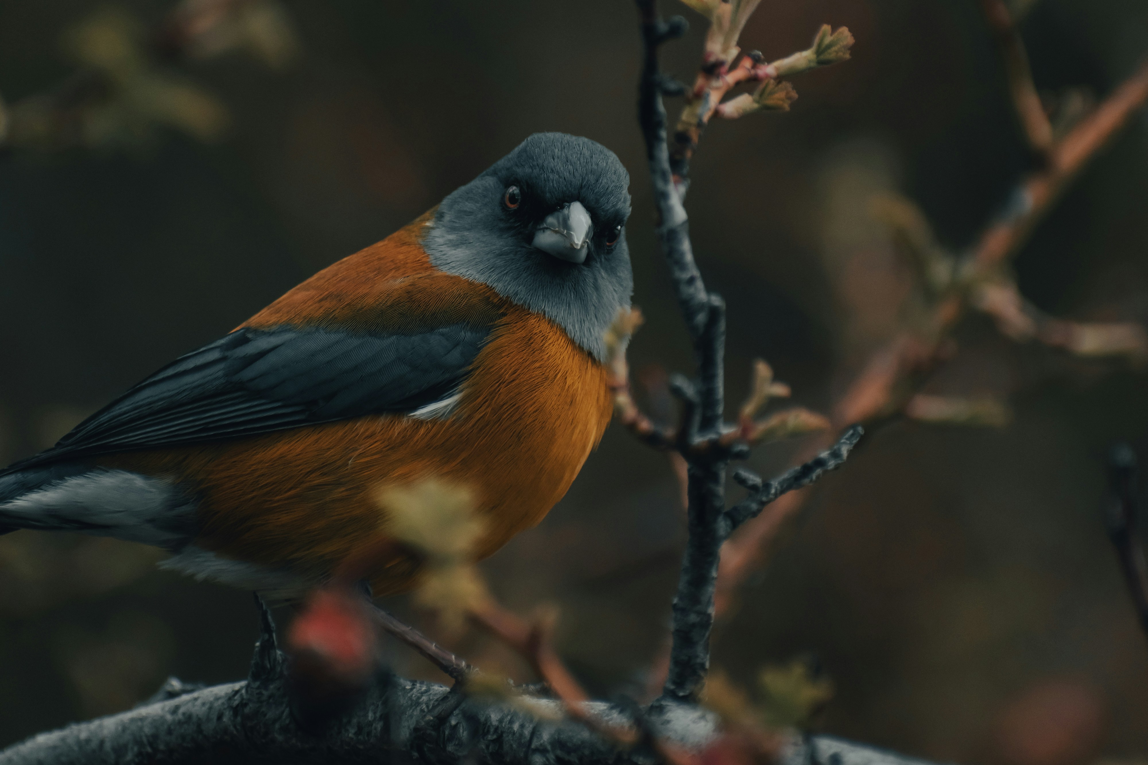 Photo by gasparzaldo