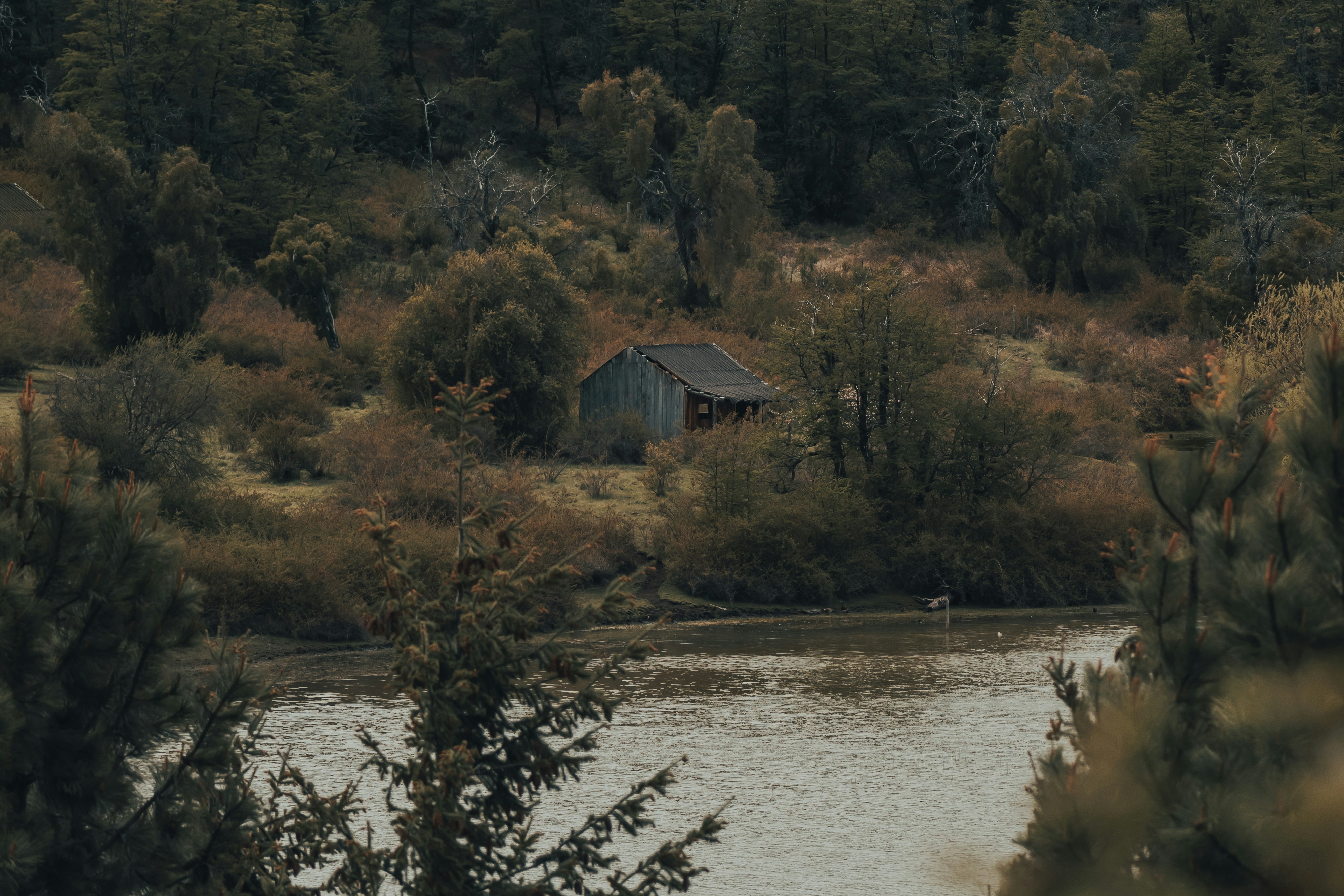 brown and white house near lake