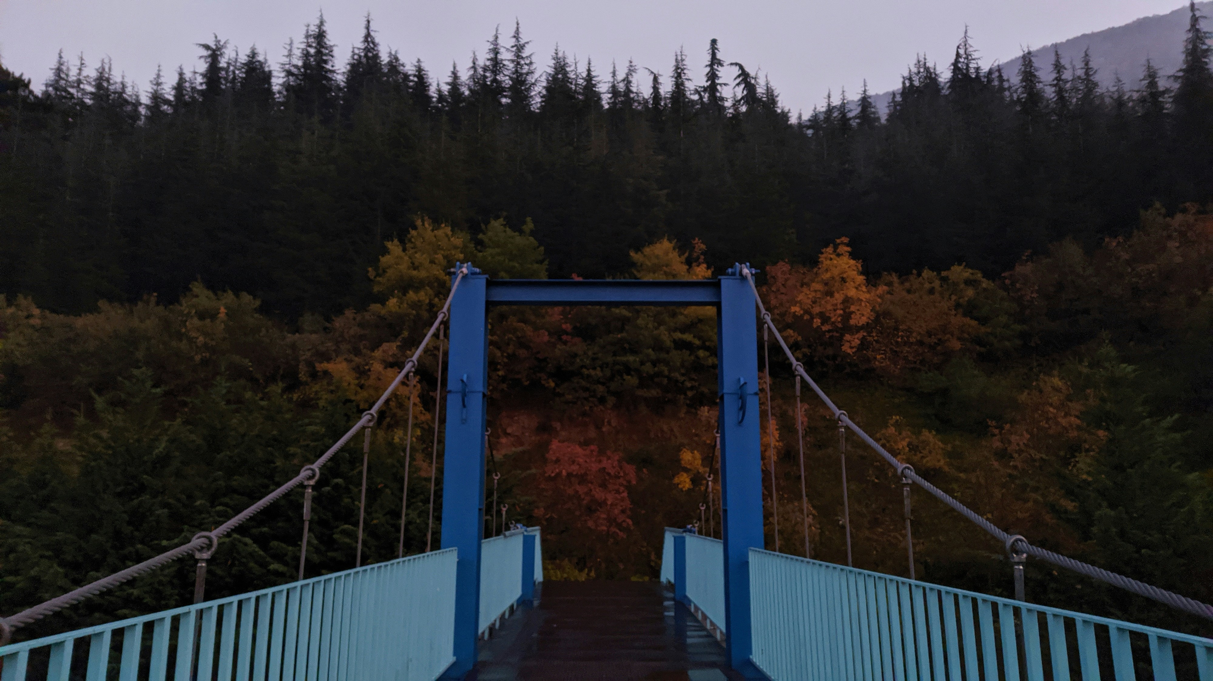 blue and brown bridge surrounded by green trees during daytime