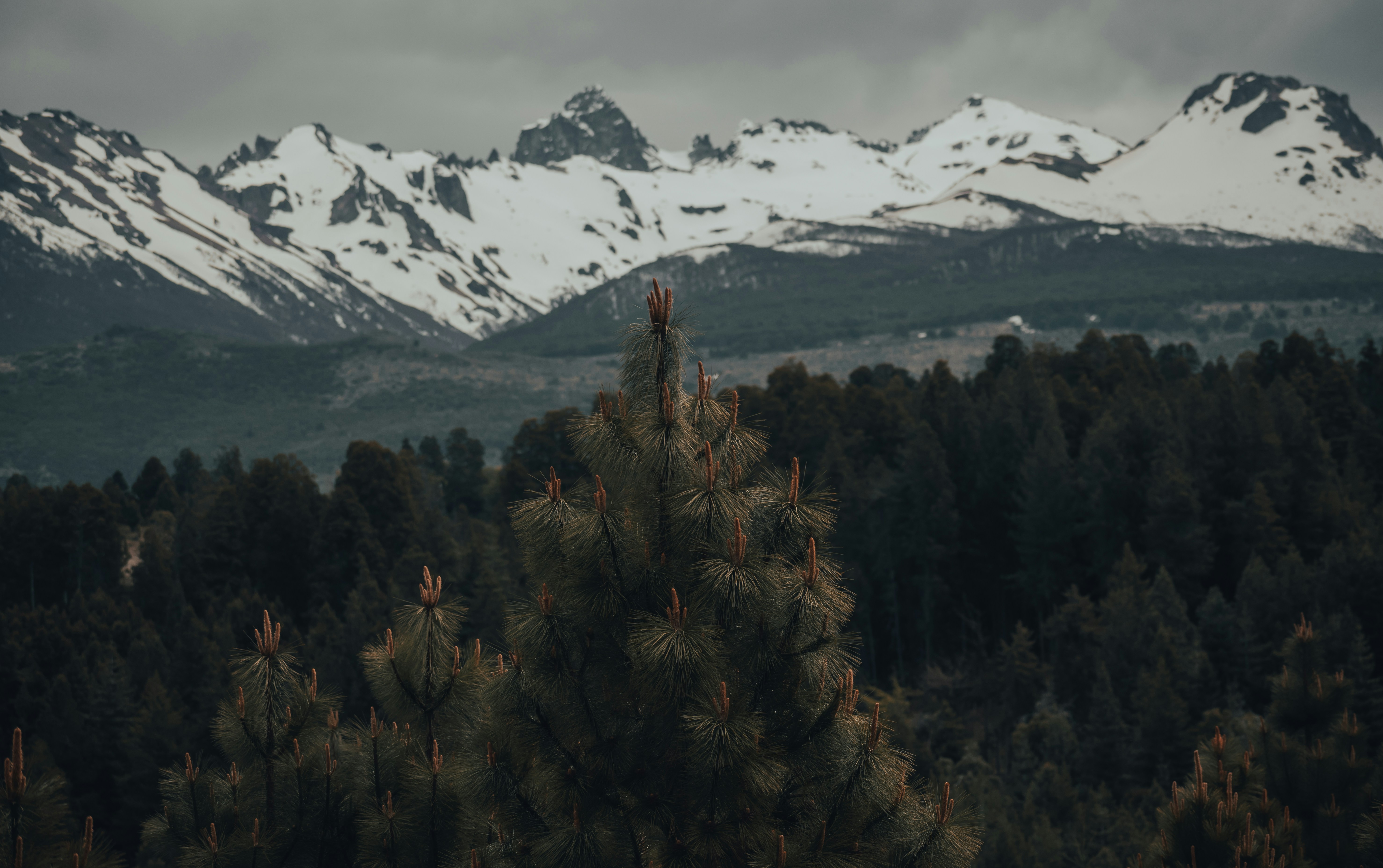 Photo by gasparzaldo