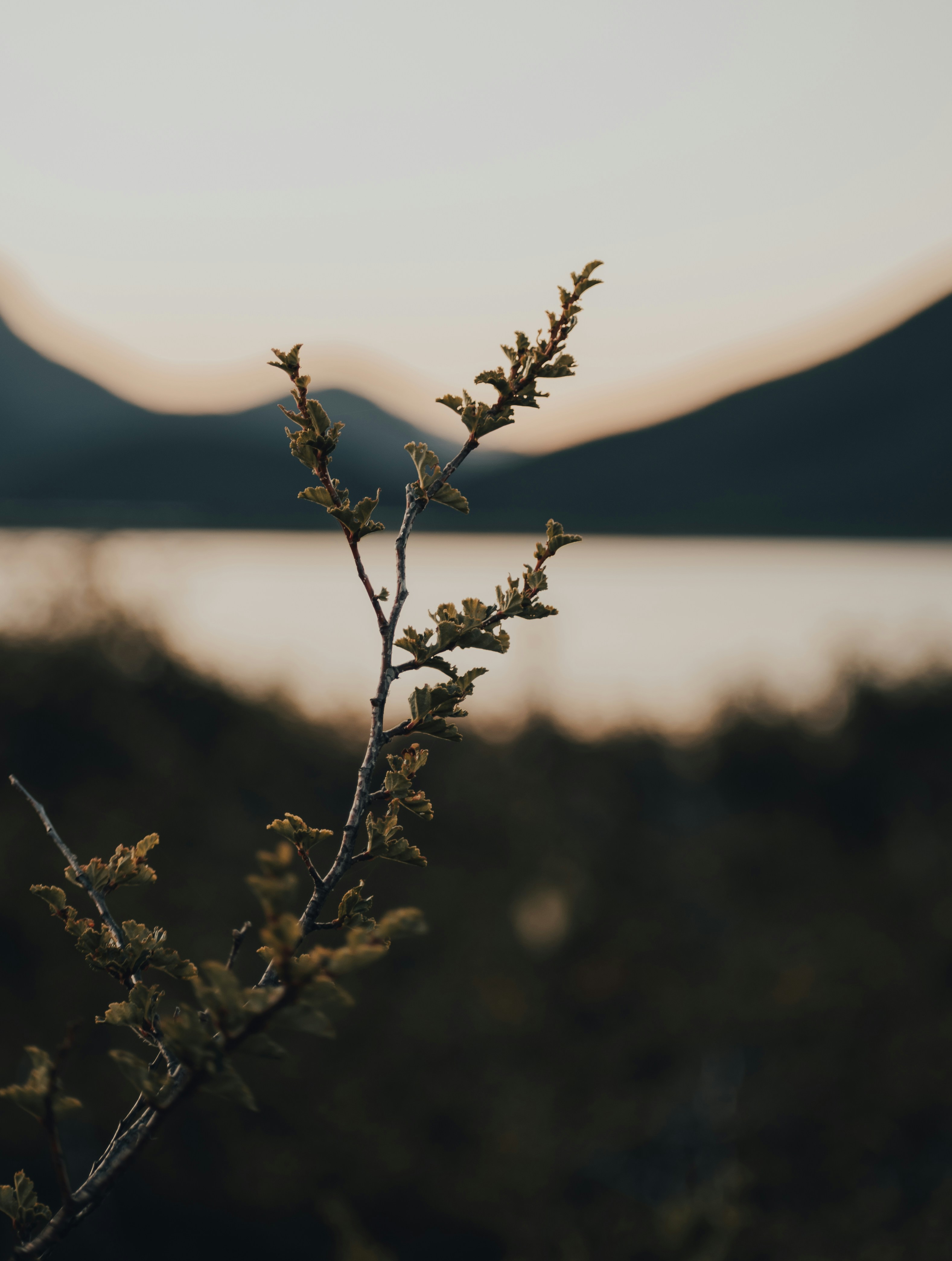 Photo by gasparzaldo