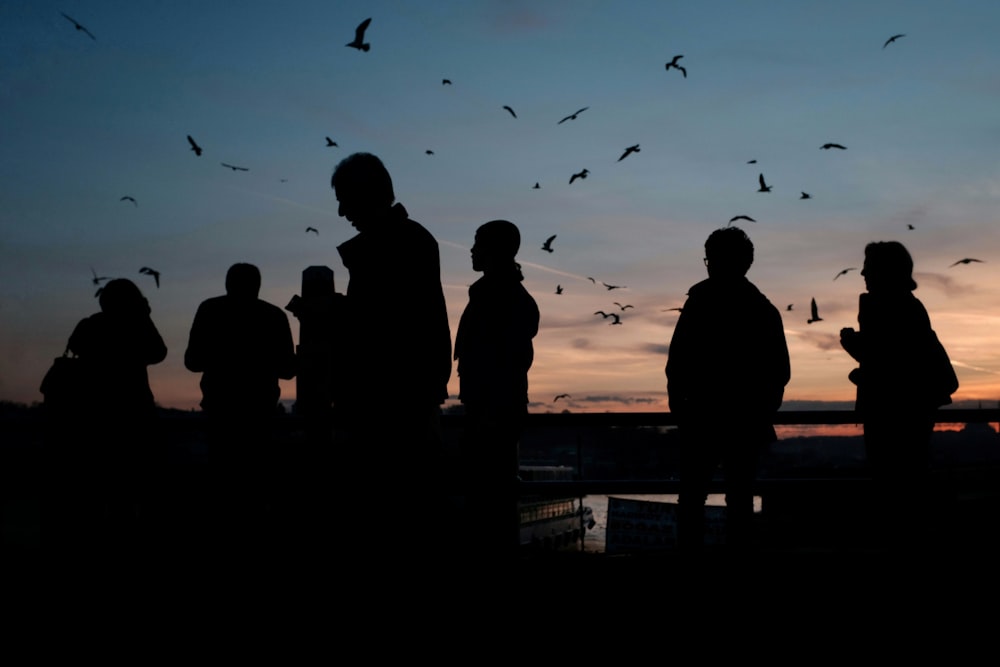 silhouette of people standing on dock during daytime