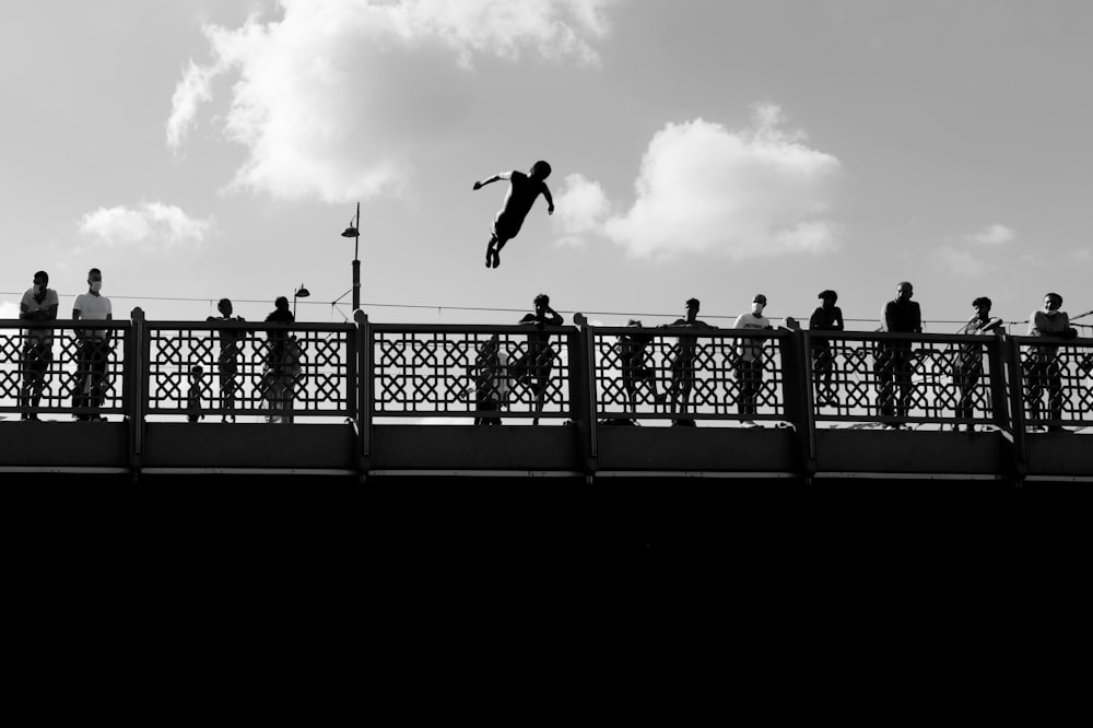 silhouette of bird flying over the city during daytime