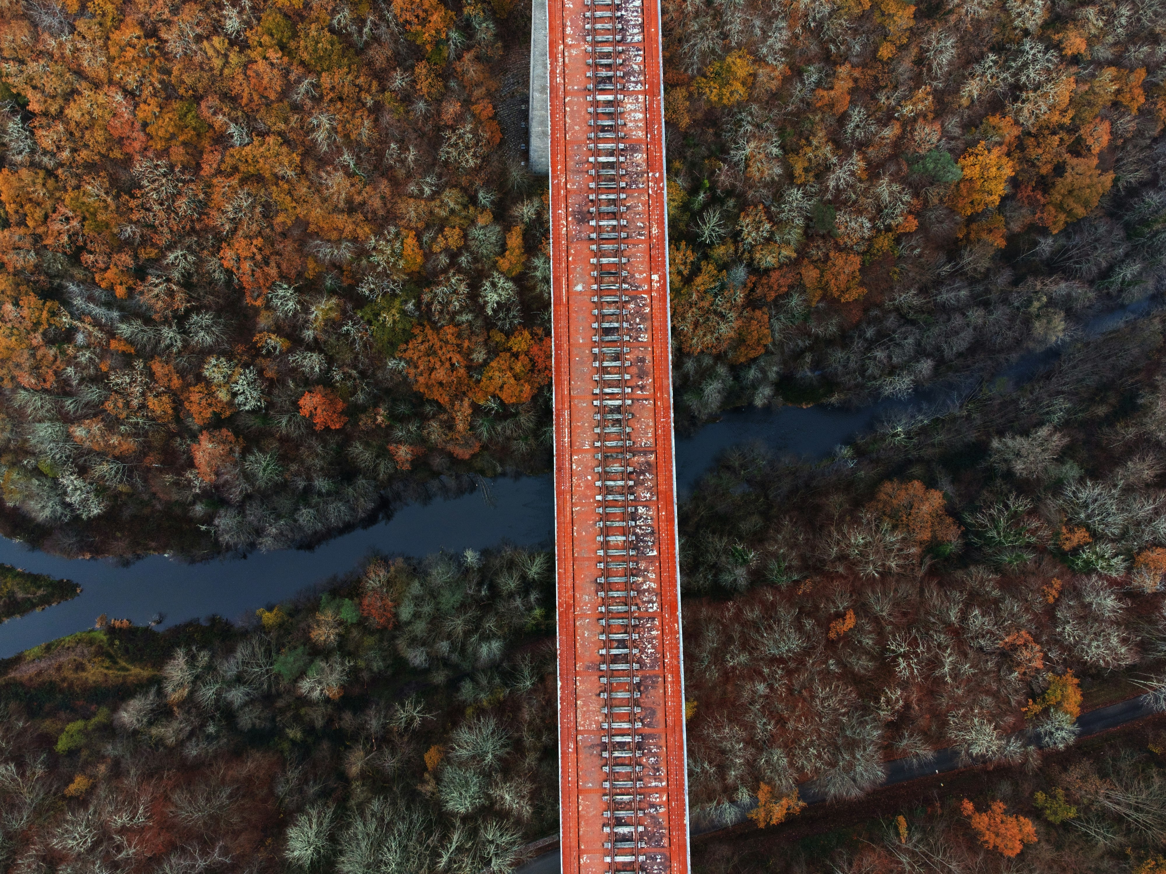 aerial view of trees and river