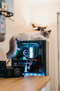 Technician fixing a desktop computer at a customer's home in a cozy living room.